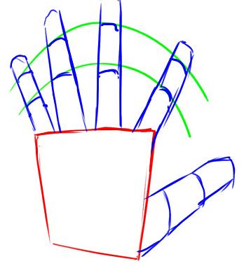 como-dibujar-una-mano-de-un-humano ¿Cómo dibujar una mano de un humano?