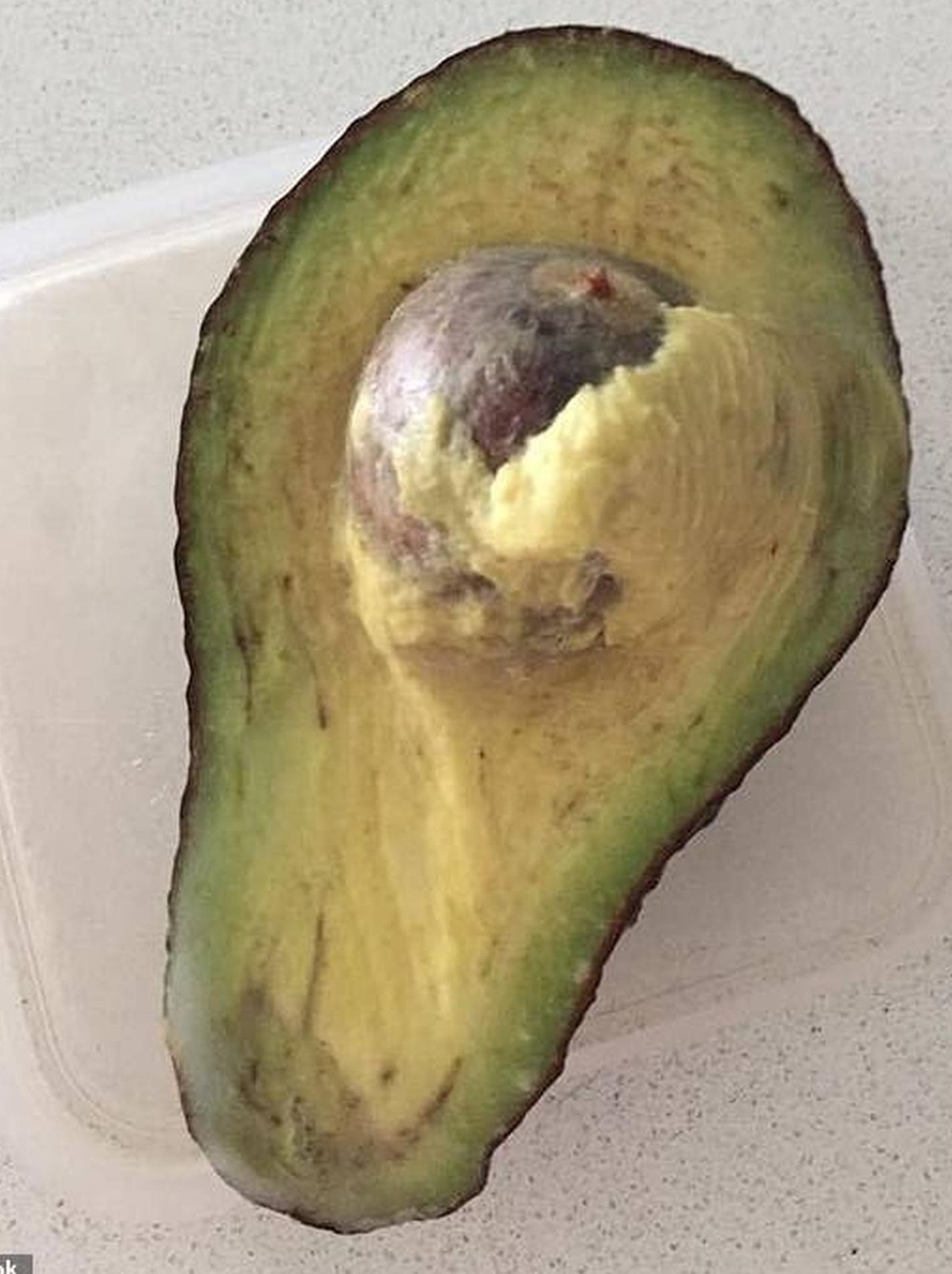 como-saber-si-un-aguacate-esta-malo-por-dentro ¿Cómo saber si un aguacate está malo por dentro?