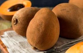 ¿Cómo se debe de tomar el té de zapote blanco?