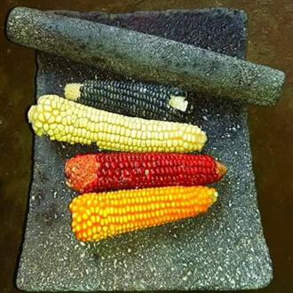 como-se-llama-el-maiz-de-colores ¿Cómo se llama el maíz de colores?